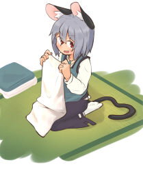 Rule 34 | 1girl, absurdres, animal ear fluff, animal ears, apron, blue apron, blush, commentary request, folding clothes, full body, greenpiecerice, grey hair, grey skirt, grey vest, hair between eyes, highres, layered clothes, long sleeves, looking at viewer, medium bangs, mouse ears, mouse girl, mouse tail, nazrin, open mouth, red eyes, seiza, shirt, short hair, sitting, skirt, skirt set, smile, solo, tail, tatami, touhou, vest, white shirt