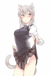 Rule 34 | 1girl, animal ears, blush, cat ears, cat tail, clothes lift, grey eyes, lifting own clothes, necktie, original, school uniform, short hair, silver hair, simple background, skirt, skirt lift, solo, sweater vest, tail, touma kisa, white background