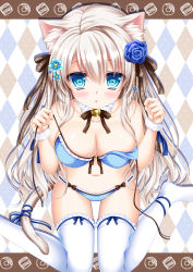 Rule 34 | 1girl, animal ears, argyle, argyle background, argyle clothes, argyle legwear, beads, bell, black bow, black ribbon, blue bra, blue eyes, blue flower, blue panties, blue ribbon, blue rose, blush, bow, bra, breasts, cat ears, cat girl, cat tail, choker, cleavage, doughnut, female focus, flower, food, frills, hair bow, hair flower, hair ornament, hair ribbon, lace, lace-trimmed legwear, lace trim, large breasts, long hair, looking at viewer, navel, neck bell, no shoes, open bra, original, panties, paw pose, polka dot, polka dot background, polka dot bra, polka dot panties, ribbon, rose, shitou, sitting, smile, solo, tail, thighhighs, underwear, very long hair, white hair, white thighhighs, wrist cuffs