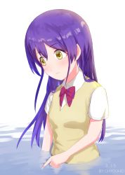Rule 34 | 1girl, artist name, artist request, blue hair, blush, bow, bowtie, breasts, collared shirt, female focus, hair between eyes, hair over shoulder, hand in water, highres, long hair, looking at viewer, love live!, love live! school idol project, ocean, otonokizaka school uniform, parted lips, red bow, red bowtie, school uniform, shirt, small breasts, smile, solo, sonoda umi, sweater vest, upper body, vest, white background, white shirt, wing collar, yellow eyes, yellow vest