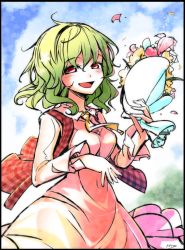 Rule 34 | 1girl, alternate costume, artist name, ascot, blue sky, blush, border, bouquet, cloud, collared dress, day, dress, fifiruu, flower, grass, green hair, happy, holding bouquet, kazami yuuka, long sleeves, looking at viewer, navel, open clothes, open mouth, open vest, pink dress, plaid, plaid vest, red eyes, red vest, see-through silhouette, sky, smile, solo, touhou, vest, wind