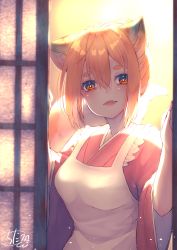 Rule 34 | 1girl, :d, animal ear fluff, animal ears, apron, backlighting, blurry, blurry background, blush, brown hair, chita (ketchup), commentary request, depth of field, fangs, fox ears, fox girl, fox tail, hair between eyes, hands up, head tilt, highres, japanese clothes, kimono, open door, open mouth, original, pink kimono, red eyes, short eyebrows, short sleeves, shouji, sidelocks, signature, sliding doors, smile, solo, tail, tail raised, thick eyebrows, upper body, white apron, wide sleeves