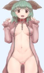 Rule 34 | 1girl, animal ears, areola slip, blue background, bottomless, breasts, chain, collarbone, cowboy shot, dress, fangs, gluteal fold, green eyes, green hair, hands up, heart, highres, kaizu (kaizukurodai), kasodani kyouko, long sleeves, looking at viewer, navel, no bra, open clothes, open dress, open mouth, pink dress, small breasts, smile, solo, thigh gap, touhou