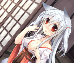 Rule 34 | 1girl, animal ears, bad id, bad pixiv id, blush, breasts, cleavage, door, fang, fox ears, hair ribbon, japanese clothes, kimono, miko, off shoulder, open mouth, original, oruto (ort+), oruton, red eyes, ribbon, shi-chan (oruton), silver hair, solo, tatami, twintails