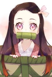 Rule 34 | 1girl, bamboo, bit gag, black hair, blush, commentary request, ech, fingernails, forehead, gag, hair ribbon, in basket, in container, japanese clothes, kamado nezuko, kimetsu no yaiba, kimono, long fingernails, long hair, looking at viewer, mouth hold, nail polish, pink eyes, pink kimono, pink nails, pink ribbon, ribbon, solo, upper body