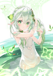 Rule 34 | 1girl, arm up, bare arms, bare shoulders, blush, braid, breasts, bug, closed mouth, commentary request, cross-shaped pupils, crystalfly (genshin impact), dress, genshin impact, green eyes, green hair, grey hair, hair between eyes, hair ornament, hand up, highres, kani biimu, long hair, looking at viewer, nahida (genshin impact), pointy ears, see-through, side ponytail, sleeveless, sleeveless dress, small breasts, smile, solo, standing, symbol-shaped pupils, water, wet, wet clothes, wet dress, white dress