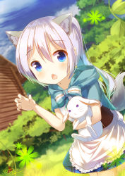 Rule 34 | 1girl, animal, animal ears, bad id, bad pixiv id, blue eyes, blush, bow, chestnut mouth, claw pose, day, dress, fang, gochuumon wa usagi desu ka?, hand up, highres, holding, holding animal, kafuu chino, little red riding hood, log cabin, long hair, looking at viewer, mokachino, nature, open mouth, outdoors, parody, ponytail, rabbit, signature, silver hair, solo, tail, wolf ears, wolf tail