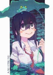 Rule 34 | 10s, 1girl, :&gt;, absurdres, asui tsuyu, blush stickers, boku no hero academia, breasts, character name, frog, frog girl, highres, lily pad, looking up, nature, necktie, on head, partially submerged, pond, rain, red necktie, school uniform, simple background, solo, text focus, translation request, untied, upper body, water, wet, wet clothes, white background