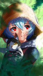 Rule 34 | 1girl, absurdres, animal, animal ear fluff, ayanami rei, black bodysuit, blue hair, blurry, bodysuit, botttomtext, cat, chestnut mouth, dappled sunlight, depth of field, evangelion: 3.0+1.0 thrice upon a time, hair between eyes, hat, highres, holding, holding animal, holding cat, looking to the side, neon genesis evangelion, plugsuit, rebuild of evangelion, red eyes, scarf, short hair, slit pupils, straw hat, sunlight, twitter username, upper body, whiskers