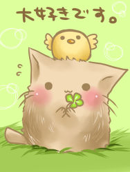 Rule 34 | :3, bad id, bad pixiv id, bird, blush, cat, chick, clover, four-leaf clover, grass, no humans, semiame, sweat, translated