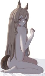Rule 34 | 1girl, absurdres, animal ears, arknights, binware, breasts, brown hair, ceobe (arknights), completely nude, dog ears, dog girl, dog tail, from side, hand up, highres, long hair, looking at viewer, medium breasts, nude, on bed, red eyes, simple background, sitting, solo, tail, very long hair, wariza, white background