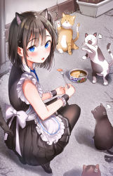 Rule 34 | 1girl, anger vein, angry, animal ear fluff, animal ears, apron, black footwear, black pantyhose, black skirt, blue eyes, blue neckwear, brown hair, cat, cat ears, cat tail, collared shirt, commentary request, day, fork, frilled apron, frills, highres, holding, holding fork, looking at viewer, medium hair, necktie, open mouth, original, outdoors, pantyhose, pet food, pleated skirt, rangu, ribbon, shadow, shirt, skirt, sleeveless, sleeveless shirt, squatting, surprised, sweatdrop, tail, tail raised, tiptoes, white apron, white ribbon, wrist cuffs