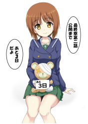 Rule 34 | 1girl, arm support, bad id, bad pixiv id, bandages, blue coat, boko (girls und panzer), brown eyes, brown hair, closed mouth, coat, commentary request, flipper, girls und panzer, green skirt, holding, holding stuffed toy, long sleeves, looking at viewer, miniskirt, nishizumi miho, ooarai school uniform, pleated skirt, sailor collar, school uniform, short hair, sitting, skirt, smile, solo, stuffed animal, stuffed toy, teddy bear, translated, white background, winter uniform