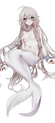 Rule 34 | 1girl, ahoge, blue eyes, blush, braid, breasts, closed mouth, female focus, fins, grey hair, hair between eyes, highres, ia (vocaloid), long hair, looking at viewer, mermaid, messy hair, monster girl, monsterification, myumyutain, navel, nipples, simple background, sitting, small breasts, solo, very long hair, vocaloid, white background, wrist cuffs