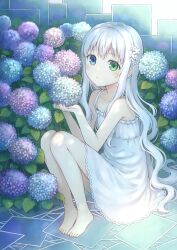 Rule 34 | 104, 1girl, barefoot, blue eyes, blush, collarbone, commentary request, dress, flower, full body, green eyes, hair flower, hair ornament, heterochromia, highres, hydrangea, knees up, long hair, looking at viewer, original, parted lips, sitting, solo, sundress, white dress, white hair