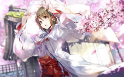 Rule 34 | 1girl, blurry, brown eyes, brown hair, cherry blossoms, depth of field, dutch angle, hakama, hakama skirt, holding, japanese clothes, miko, original, petals, red hakama, ribbon-trimmed sleeves, ribbon trim, skirt, solo, yuugen