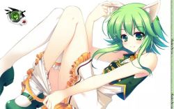 Rule 34 | 1girl, animal ears, cat ears, green eyes, green hair, gumi, looking at viewer, matching hair/eyes, raiou, simple background, sleeveless, smile, solo, thighhighs, vocaloid