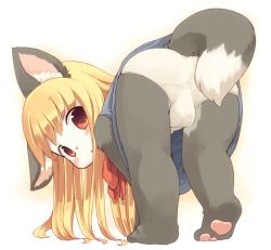 Rule 34 | 1girl, akuma gaoru, animal ear fluff, animal ears, animal nose, bent over, blonde hair, blue dress, blush, body fur, commentary request, dress, furry, furry female, futaba channel, grey fur, kishibe, long hair, looking at viewer, open mouth, panties, partial commentary, pawpads, red eyes, red ribbon, ribbon, simple background, sleeveless, sleeveless dress, solo, tail, underwear, white fur, white panties
