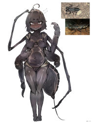 Rule 34 | 1girl, absurdres, ahoge, black hair, black skin, blush, breasts, colored skin, extra arms, female focus, full body, highres, arthropod girl, monster girl, my700, nude, original, personification, pussy, reference photo, simple background, smile, solo, white background