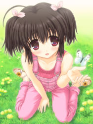 Rule 34 | 1girl, ahoge, aoi akua, blush, brown hair, bug, butterfly, collarbone, flower, full body, grass, insect, overalls, red eyes, sandals, short hair, sitting, smile, solo, to heart (series), to heart 2, twintails, wariza, yuzuhara konomi