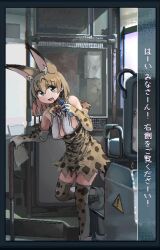 Rule 34 | 1girl, :d, animal ear fluff, animal ears, bare shoulders, belt, blonde hair, blue eyes, bow, bowtie, breasts, brown belt, brown bow, brown bowtie, brown gloves, brown skirt, brown thighhighs, bus interior, center opening, colored inner hair, commentary request, cross-laced clothes, cross-laced skirt, dithering, elbow gloves, extra ears, foot out of frame, gloves, grey footwear, grey gloves, grey thighhighs, hair between eyes, hand up, high-waist skirt, holding, holding microphone, i love serval, jaggy lines, kemono friends, leaning forward, looking at viewer, medium breasts, medium hair, microphone, multicolored hair, oekaki, open mouth, orange hair, print bow, print bowtie, print gloves, print skirt, print thighhighs, seat, serval (kemono friends), serval print, shirt, shoes, sideboob, sign, skirt, sleeveless, sleeveless shirt, smile, solo, standing, tail, tareme, thighhighs, translation request, warning sign, white shirt, zettai ryouiki