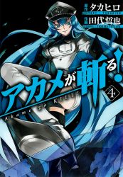 Rule 34 | 10s, 1girl, akame ga kill!, akame ga kill! volume covers, aqua hair, blue eyes, boots, breasts, cover, cover page, esdeath, hat, highres, large breasts, long hair, military, military uniform, official art, peaked cap, smile, solo, tashiro tetsuya, thigh boots, thighhighs, uniform, very long hair, white thighhighs