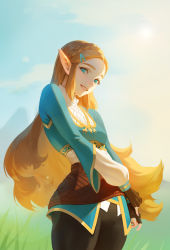 Rule 34 | 1girl, blonde hair, blouse, blue eyes, blue shirt, braid, cowboy shot, crown braid, day, fingerless gloves, gloves, grass, hair ornament, hairclip, highres, jinwu (jinwudraw), long hair, looking at viewer, nintendo, outdoors, pointy ears, princess zelda, shirt, smile, tagme, the legend of zelda, the legend of zelda: breath of the wild, thick eyebrows, very long hair
