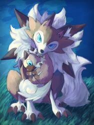 Rule 34 | 7 phi 3, animal focus, blue eyes, brown fur, commentary request, creatures (company), evolutionary line, game freak, gen 7 pokemon, highres, horizon, looking at viewer, lycanroc, night, night sky, nintendo, no humans, on grass, pokemon, pokemon (creature), rockruff, sky, spikes, white fur, wolf