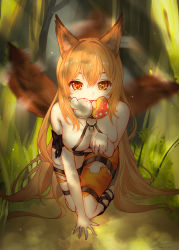 Rule 34 | 1girl, absurdres, animal ears, arknights, bare shoulders, breasts, ceobe (arknights), ceobe (summer flowers) (arknights), chinese commentary, commentary request, grass, hair between eyes, highres, kneeling, liu liaoliao, long hair, looking at viewer, medium breasts, mouth hold, mushroom, official alternate costume, orange eyes, orange hair, solo, tail, tail wagging, thighs, torn clothes, very long hair