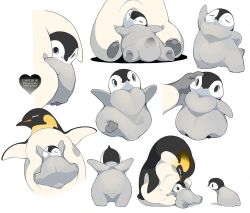 Rule 34 | animal, animal focus, baby penguin, beak, bird, chick, emperor penguin, closed eyes, gloves, grey gloves, hand on another&#039;s head, head tilt, hiyoratory, looking at another, looking at viewer, lying on another, no humans, original, penguin, headpat, sleeping, smile, white background