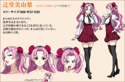 Rule 34 | character sheet, long hair, pink hair, seikon no qwaser, thighhighs, tsujidou miyuri