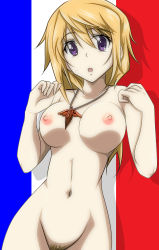 Rule 34 | 10s, 1girl, blonde hair, blush, breasts, charlotte dunois, female pubic hair, french flag, gentoku, highres, infinite stratos, jewelry, looking at viewer, necklace, nipples, nude, open mouth, pubic hair, purple eyes, solo