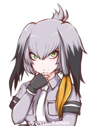 Rule 34 | 10s, 1girl, black gloves, black hair, collared shirt, commentary, disco brando, fingerless gloves, gloves, green eyes, grey background, grey hair, hair between eyes, hand on own chin, head wings, kemono friends, long hair, looking at viewer, low ponytail, multicolored hair, necktie, serious, shirt, shoebill (kemono friends), side ponytail, silver necktie, simple background, solo, tsurime, twintails, twitter username, two-tone hair, upper body, white background, white necktie, wings