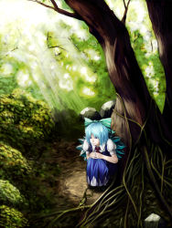 Rule 34 | 1girl, bad id, bad pixiv id, blouse, cirno, collared shirt, curious, dress, female focus, forest, frog, highres, mmm (mikito), nature, outdoors, pinafore dress, plant, shirt, sitting, sleeveless dress, solo, touhou, tree, white shirt