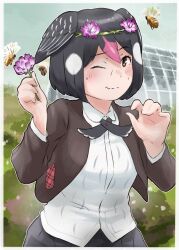 Rule 34 | 1girl, absurdres, bee, bird girl, bird wings, black hair, black skirt, blush, brown eyes, brown jacket, bug, collared shirt, commentary request, cowboy shot, flower, greater honeyguide (kemono friends), hair between eyes, hair flower, hair ornament, head wings, head wreath, highres, insect, jacket, kemono friends, long sleeves, multicolored hair, one eye closed, open clothes, open jacket, pink hair, pleated skirt, shirt, short hair, skirt, solo, toriny, white hair, white shirt, wings