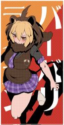Rule 34 | 1girl, animal ears, barbary lion (kemono friends), bare arms, bare legs, blonde hair, border, brown eyes, closed mouth, dyed bangs, hair between eyes, high contrast, highres, kemono friends, lion ears, lion girl, lion tail, medium hair, microskirt, multicolored hair, necktie, onaji (sokudo seigen), plaid, plaid necktie, plaid neckwear, plaid skirt, plaid sleeves, plaid trim, serious, shirt, shoes, short sleeves, skirt, solo, sweater vest, tail, two-tone hair, v-shaped eyebrows, walking