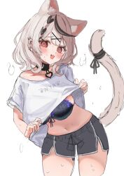 Rule 34 | 1girl, @ @, animal ears, black bra, black choker, black shorts, bra, bra peek, breasts, cat ears, cat girl, cat tail, choker, clothes lift, collarbone, cowboy shot, drawstring, front-tie bra, grey hair, gym shorts, hair ornament, highres, hololive, kemonomimi mode, lace, lace-trimmed bra, lace trim, large breasts, legs apart, lifting own clothes, looking at viewer, medium hair, navel, nikoge (25ge dayo), red eyes, ribbon, sakamata chloe, shirt, shirt lift, short shorts, short sleeves, shorts, simple background, solo, steaming body, stomach, sweat, t-shirt, tail, tail ornament, tail ribbon, thighs, underwear, virtual youtuber, white background, white shirt, x hair ornament