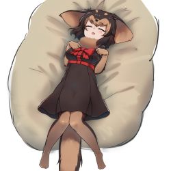 Rule 34 | 1girl, animal ears, blush, bow, bowtie, brown dress, brown gloves, brown hair, brown pantyhose, closed eyes, dachshund (kemono friends) (nyifu), dog ears, dog tail, dress, elbow gloves, fang, full body, fur collar, gloves, harness, kemono friends, knees together feet apart, multicolored hair, no shoes, nyifu, open mouth, original, pantyhose, paw pose, pillow, red bow, red bowtie, short hair, solo, tail