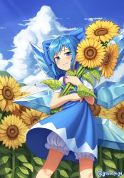 Rule 34 | 1girl, absurdres, artist name, bloomers, blue bow, blue dress, blue eyes, blue hair, blue sky, blush, bow, cirno, cloud, commentary request, day, dress, feet out of frame, field, flower, flower field, goback, grin, hair bow, highres, holding, holding flower, ice, ice wings, leaf, looking at viewer, neck ribbon, outdoors, parted lips, pinafore dress, puffy short sleeves, puffy sleeves, red ribbon, ribbon, shirt, short hair, short sleeves, sidelocks, sky, sleeveless, sleeveless dress, smile, solo, standing, sunflower, sunflower field, touhou, twitter username, umbrella, underwear, white bloomers, white shirt, white umbrella, wings