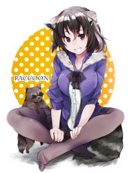 Rule 34 | 10s, 1girl, adapted costume, animal ear fluff, animal ears, blush, bow, bowtie, brown hair, commentary request, common raccoon (kemono friends), crossed legs, fang, fur trim, grey hair, hands on lap, hood, hoodie, kemono friends, long sleeves, multicolored hair, nanana (nanana iz), no shoes, open mouth, pantyhose, pleated skirt, raccoon, raccoon ears, raccoon tail, short hair, sitting, skirt, solo, tail, zipper