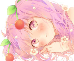 Rule 34 | 1girl, blush, cherry blossoms, cherry hair ornament, close-up, commentary, flower, food-themed hair ornament, hair flower, hair ornament, hatsune miku, highres, kona (konana2525), long hair, looking at viewer, lying, nail polish, on side, petals, pink eyes, pink hair, pink nails, portrait, sakura miku, vocaloid
