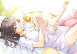 Rule 34 | 1girl, ;o, animal, bed sheet, black hair, blue eyes, blurry, blurry background, breasts, cat, commentary request, depth of field, dress, holding, holding animal, knee up, long hair, lying, mono lith, on back, one eye closed, open mouth, original, pillow, plant, short sleeves, small breasts, solo, white dress