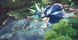 Rule 34 | 1girl, :d, blue bow, blue dress, blue hair, blush, bow, brown footwear, bush, chasing, chinese commentary, cirno, commentary request, cryokinesis, detached wings, dress, e (you33ou), flying, flying sweatdrops, frog, full body, grass, hair bow, highres, ice, ice wings, light blue hair, loafers, looking at animal, medium hair, open mouth, outdoors, puffy short sleeves, puffy sleeves, river, rock, shirt, shoes, short sleeves, smile, solo, teeth, touhou, upper teeth only, v-shaped eyebrows, water, white shirt, wings