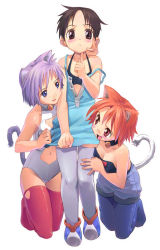 Rule 34 | 3girls, animal ears, bell, blush, bra, breasts, brown hair, casual one-piece swimsuit, cat ears, cat tail, cleavage, collar, kneeling, lingerie, multiple girls, one-piece swimsuit, orange hair, purple hair, satou toshiyuki, swimsuit, tail, thighhighs, underwear, undressing, white thighhighs