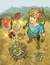 Rule 34 | 1boy, blonde hair, blue eyes, eyebrows, food, gabriel picolo, highres, link, male focus, nintendo, outdoors, pale skin, ponytail, solo, solo focus, tagme, the legend of zelda, the legend of zelda: breath of the wild