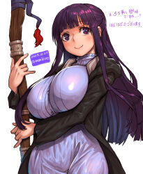 Rule 34 | 1girl, amania orz, breasts, fern (sousou no frieren), large breasts, purple hair, solo, sousou no frieren
