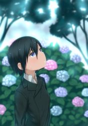 Rule 34 | 1girl, androgynous, black hair, black jacket, blue eyes, blurry, blurry background, breasts, closed mouth, collared shirt, commentary request, expressionless, flower, hair between eyes, highres, hydrangea, jacket, kino (kino no tabi), kino no tabi, kuroboshi kouhaku (style), kyak bamboo, long sleeves, looking up, outdoors, partial commentary, plant, reverse trap, shirt, shirt under jacket, short hair, small breasts, solo, tomboy, tree, tsurime, upper body, wet, wet hair, white shirt