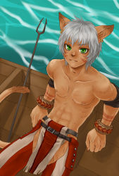 Rule 34 | 00s, animal ears, armband, cat boy, cat ears, cuffs, fang, final fantasy, final fantasy xi, game, green eyes, lowres, male focus, mithra (ff11), pants, short hair, tattoo, white hair