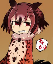 Rule 34 | 10s, 1girl, absurdres, anger vein, angry, arms at sides, bad id, bad pixiv id, brown coat, brown hair, buttons, clenched teeth, coat, eurasian eagle owl (kemono friends), fur collar, hair between eyes, half-closed eyes, highres, kanmoku-san, kemono friends, long sleeves, looking at viewer, multicolored hair, red eyes, sharp teeth, short hair, simple background, solo, spoken anger vein, teeth, upper body