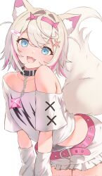 Rule 34 | 1girl, animal ear fluff, animal ears, bandaid, bandaid hair ornament, belt, black collar, blonde hair, blue eyes, blush, collar, colored inner animal ears, cropped shirt, dog ears, dog girl, dog tail, frilled shorts, frills, hair ornament, hairband, headband, highres, hololive, hololive english, horn hairband, mococo abyssgard, multicolored hair, namakatsu, open mouth, pink belt, pink hair, pink hairband, pink headband, shorts, simple background, streaked hair, tail, virtual youtuber, white background, x hair ornament